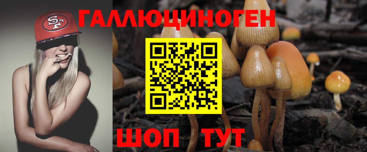 Галлюциногенные грибы мухоморы  Вход с VPN  Рославль 